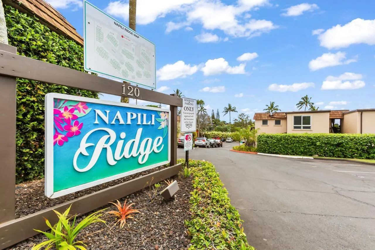 Napili Ridge C3 Apartment Kahana
